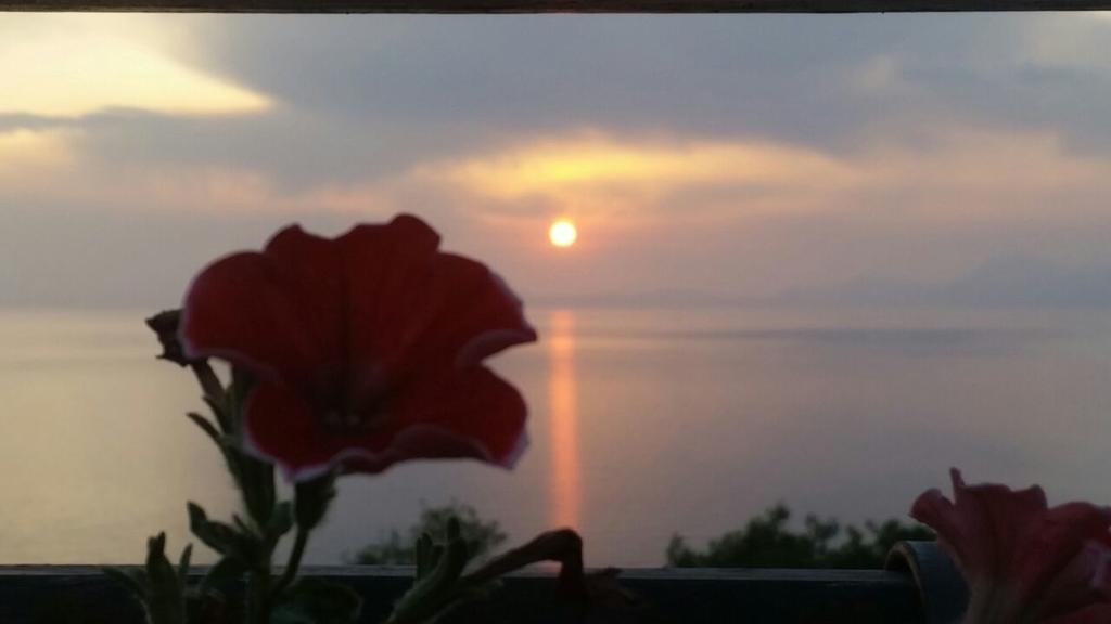 B&B "L'Eco Del Mare" Agropoli Dış mekan fotoğraf